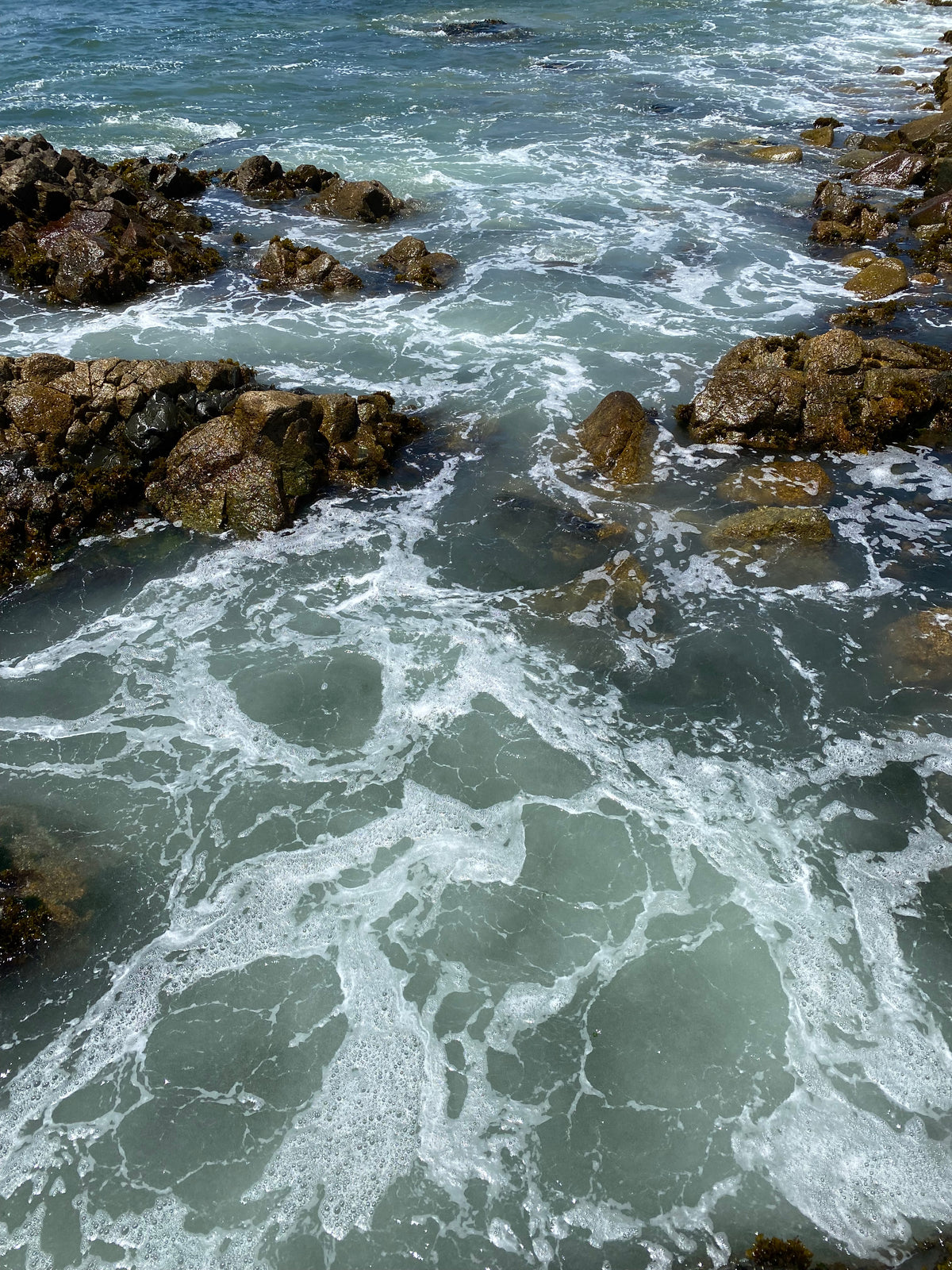 Polera Puerto Cálido